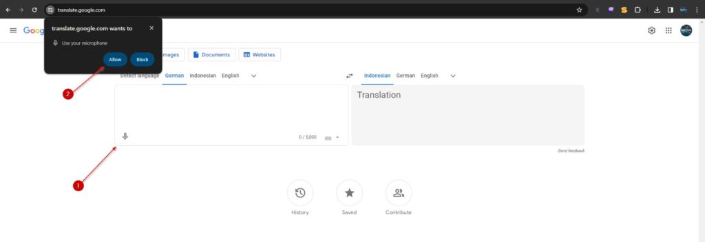 Google Translate Voice